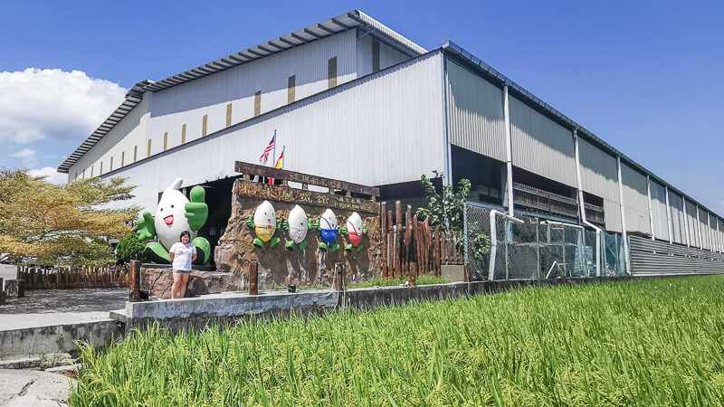 Visit the Paddy Field Factory and Gallery